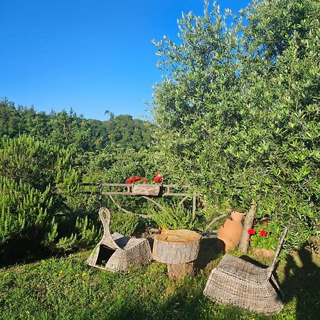 San Martino Villa&Country Resort Barberino di Mugello Exterior foto